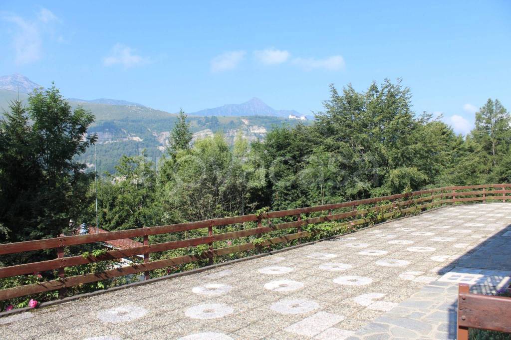 immagine annuncio 3 di 13