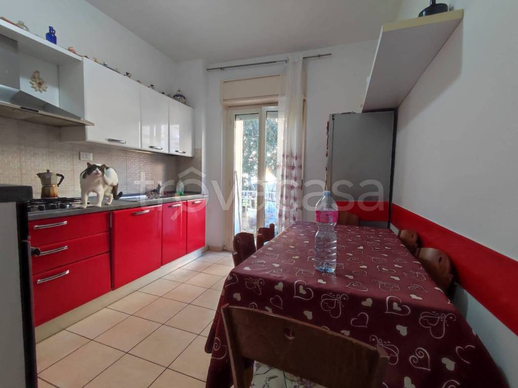 immagine annuncio 6 di 13