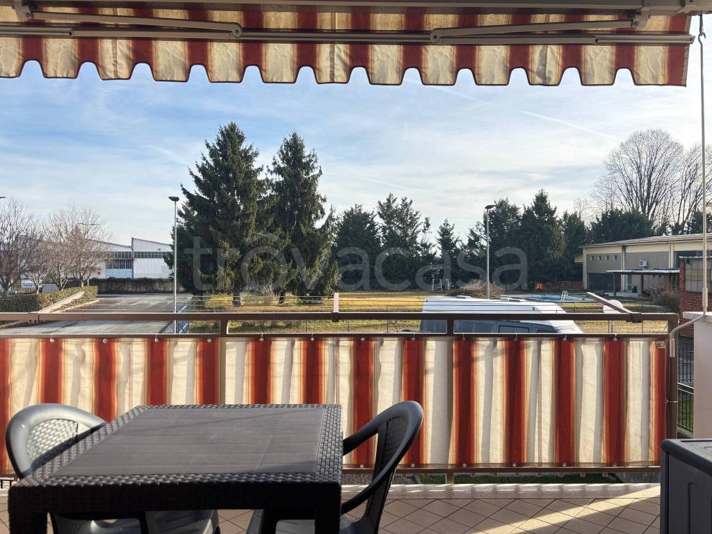 immagine annuncio 6 di 15