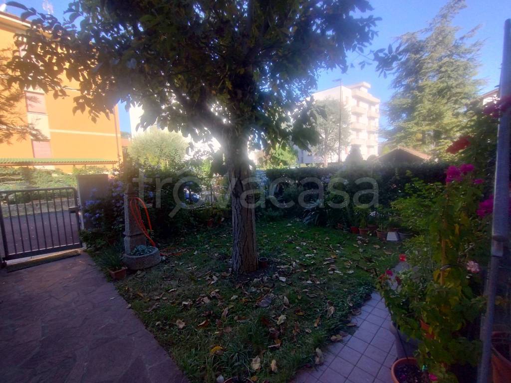 immagine annuncio 1 di 8