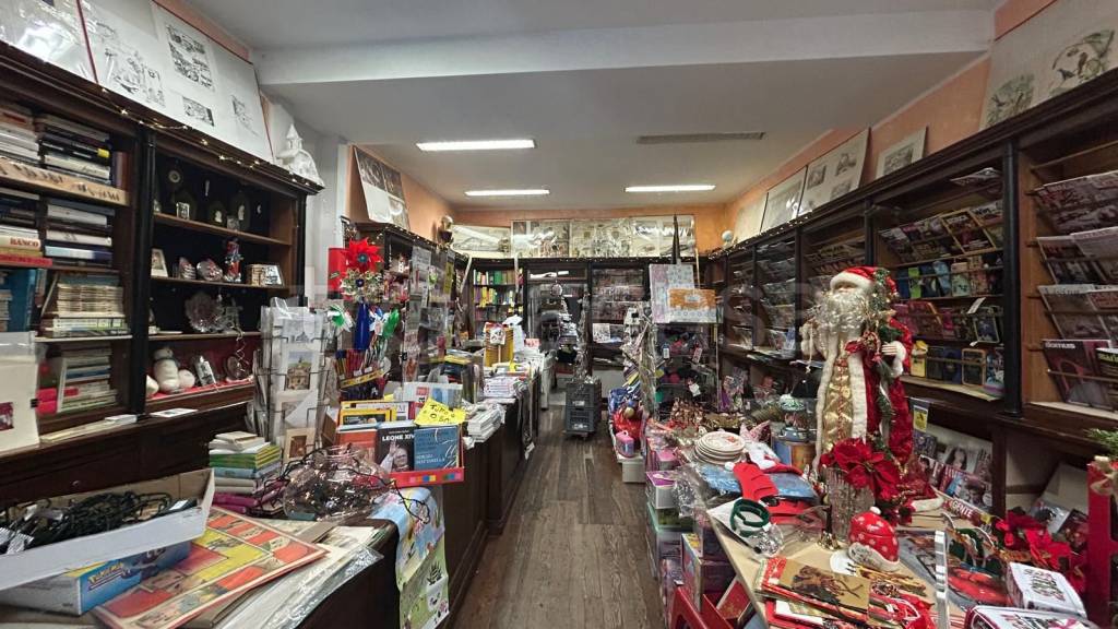 immagine annuncio 3 di 8