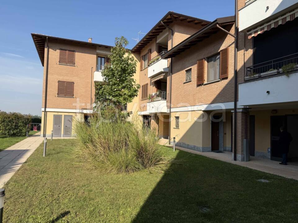 immagine annuncio 2 di 7