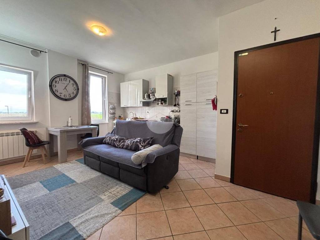 immagine annuncio 1 di 14