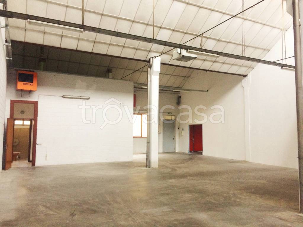 immagine annuncio 4 di 12