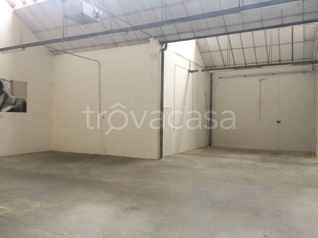 immagine annuncio 10 di 12