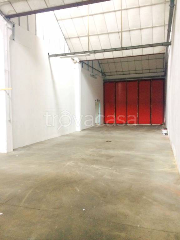 immagine annuncio 5 di 12