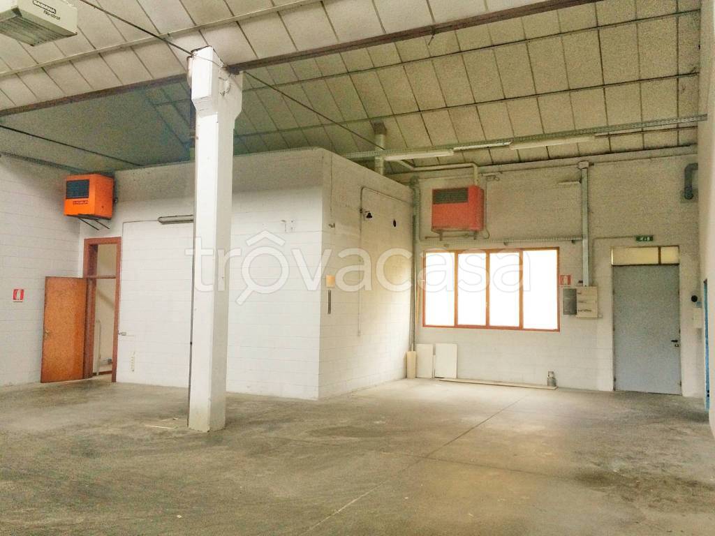 immagine annuncio 3 di 12