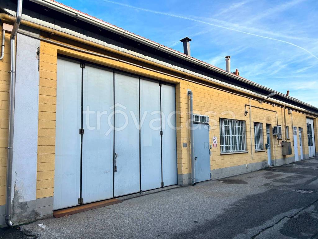 immagine annuncio 2 di 12