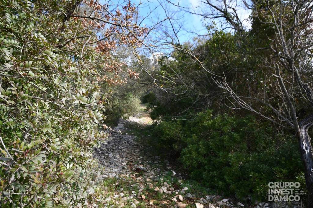 immagine annuncio 3 di 6