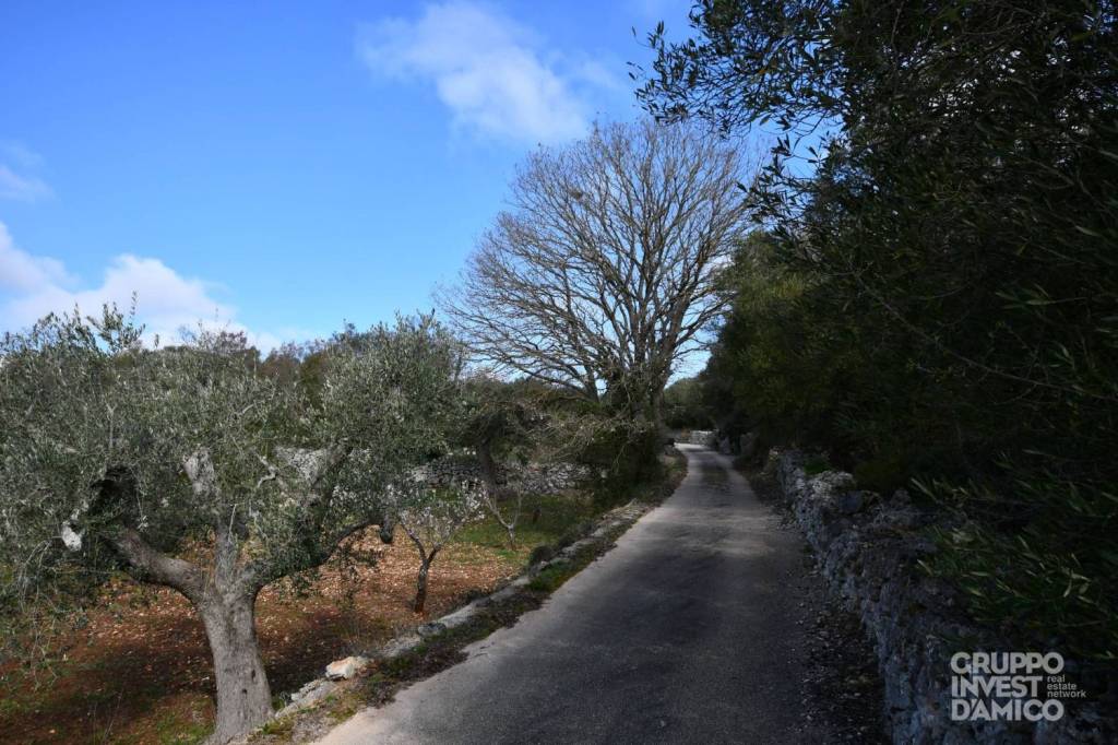 immagine annuncio 4 di 6