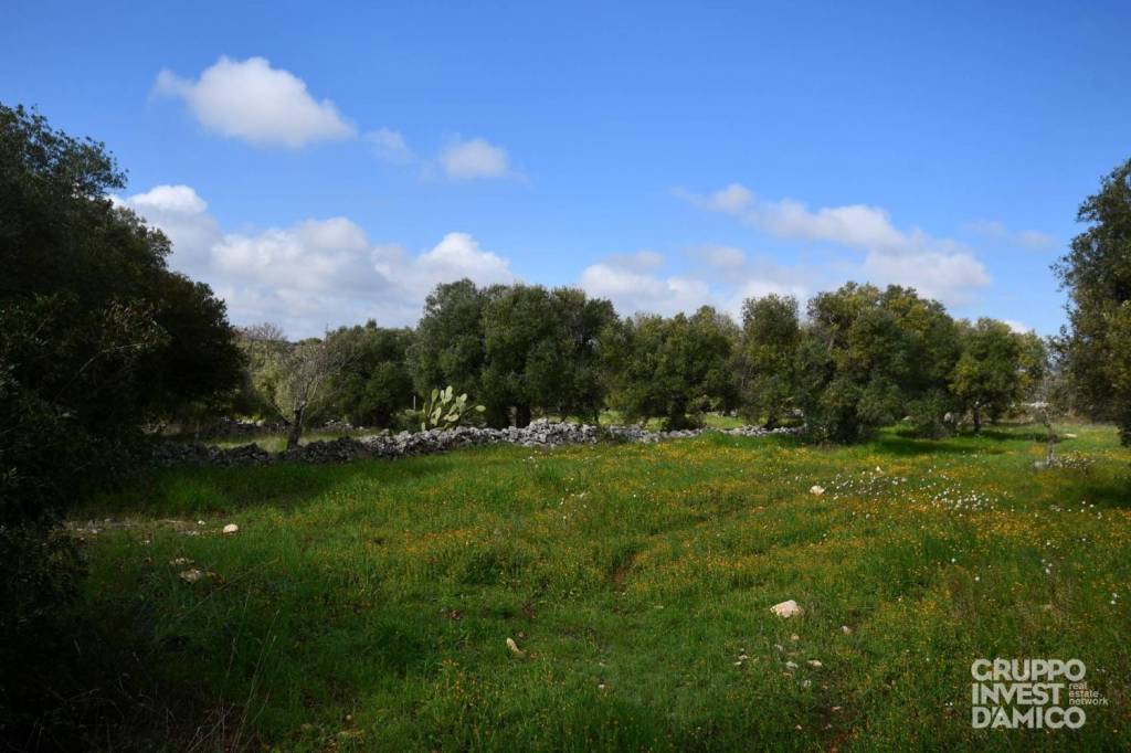 immagine annuncio 5 di 6