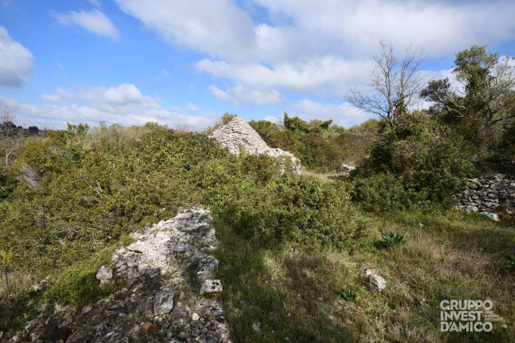 immagine annuncio 6 di 9