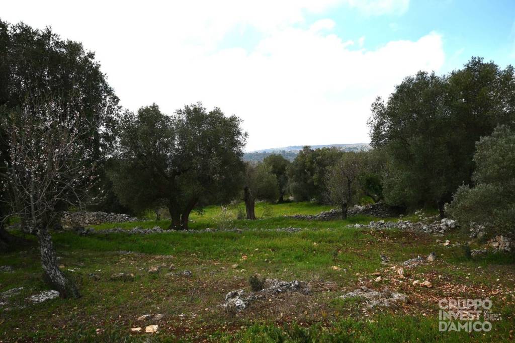 immagine annuncio 7 di 9