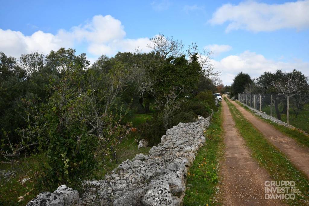 immagine annuncio 8 di 9