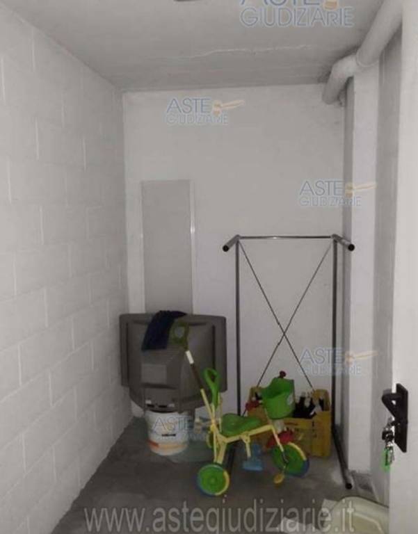 immagine annuncio 7 di 14