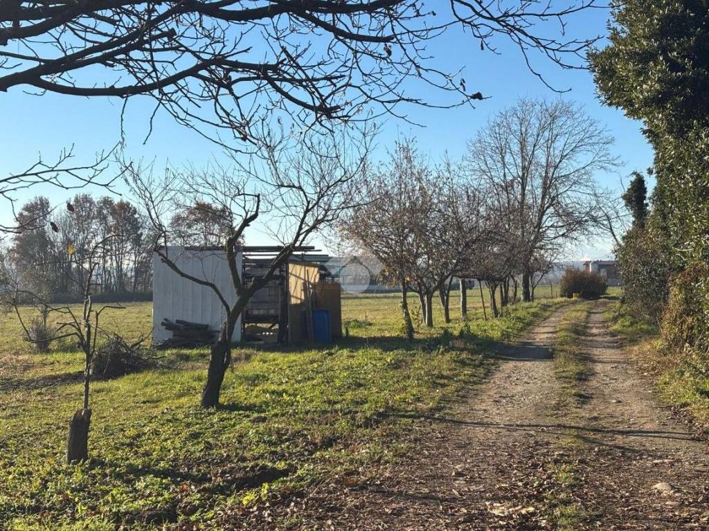 immagine annuncio 2 di 6