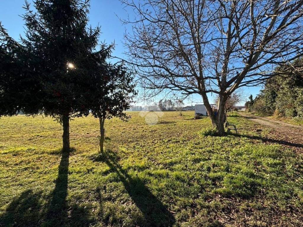 immagine annuncio 3 di 6