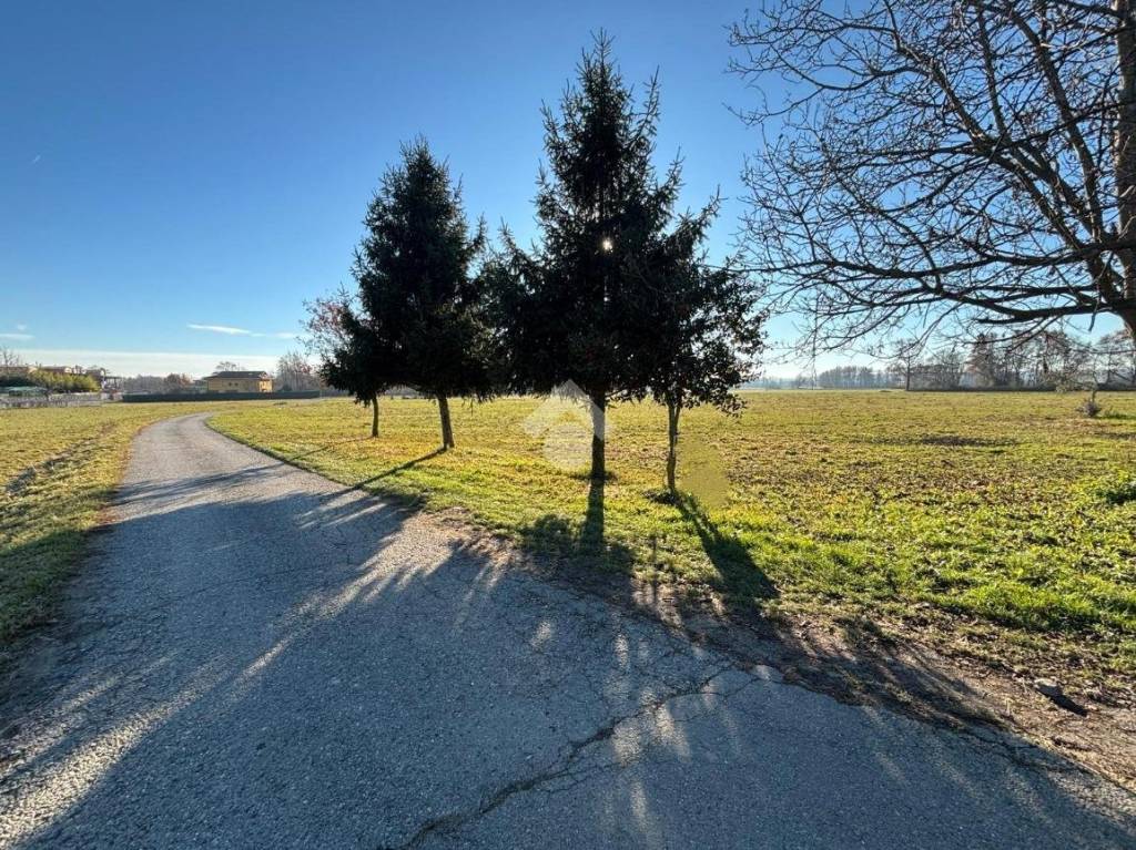 immagine annuncio 4 di 6