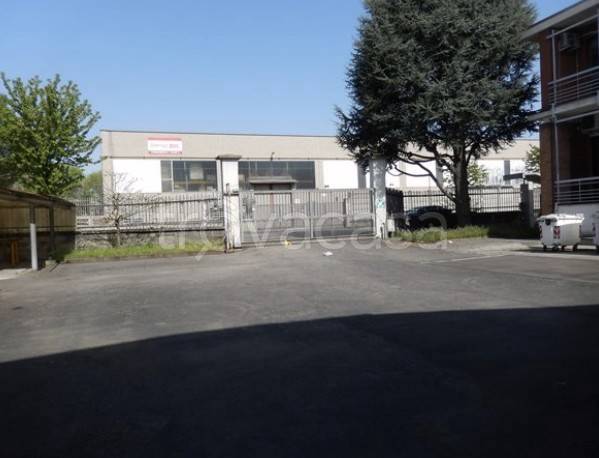 immagine annuncio 14 di 15