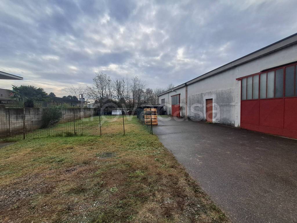 immagine annuncio 1 di 15