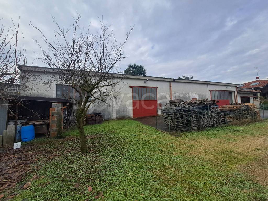 immagine annuncio 11 di 15