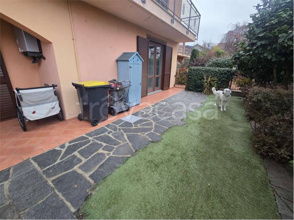 immagine annuncio 9 di 15