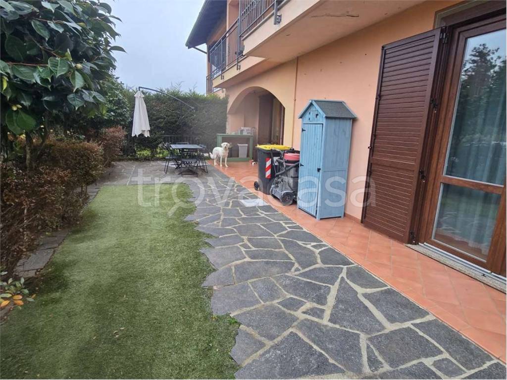 immagine annuncio 10 di 15