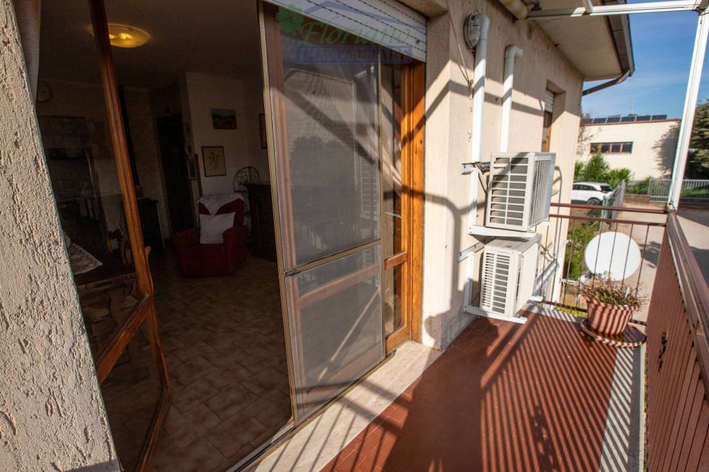 immagine annuncio 3 di 14