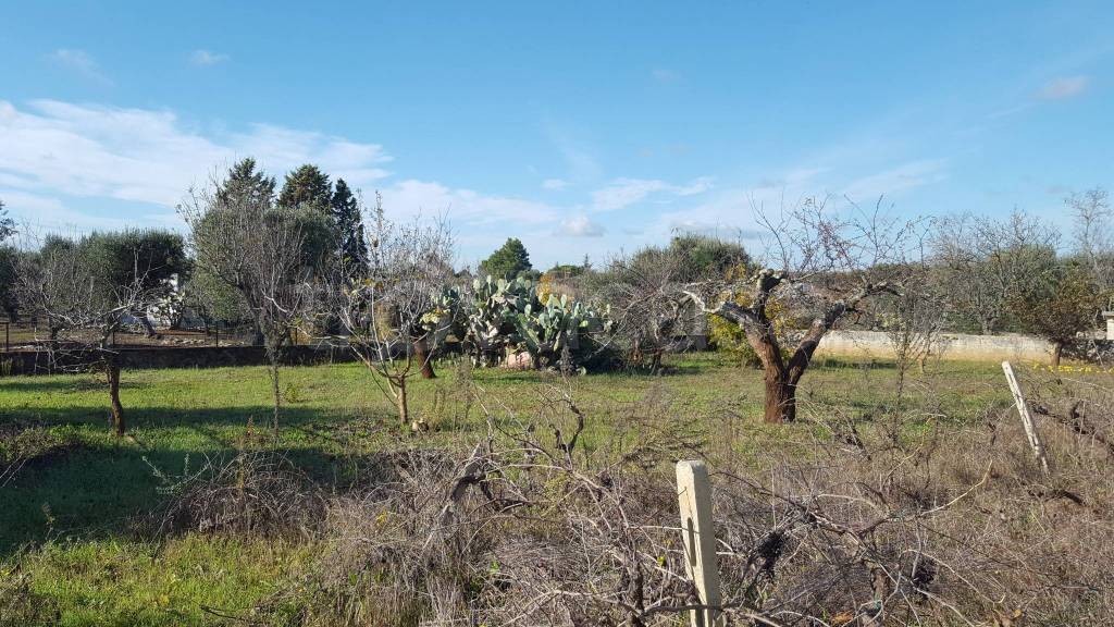 immagine annuncio 11 di 15