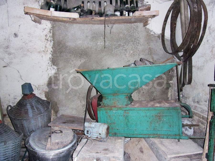 immagine annuncio 11 di 14