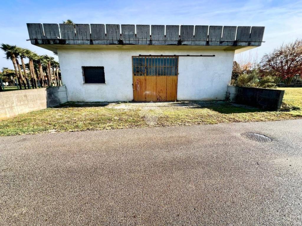 immagine annuncio 5 di 15