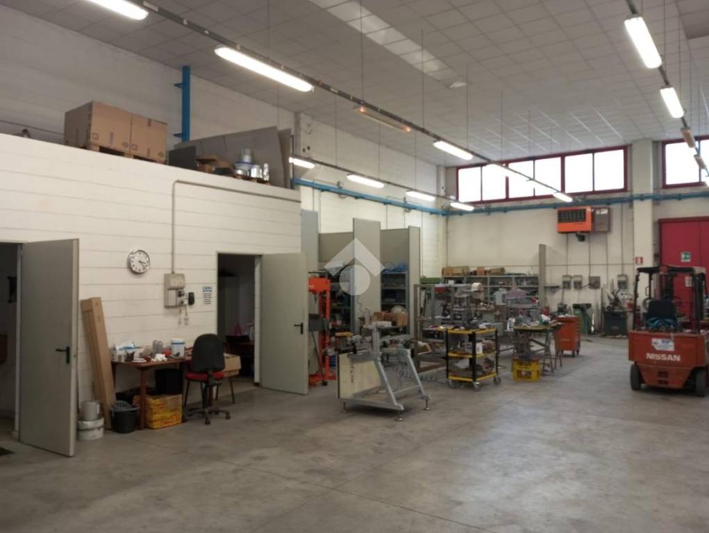 immagine annuncio 3 di 15