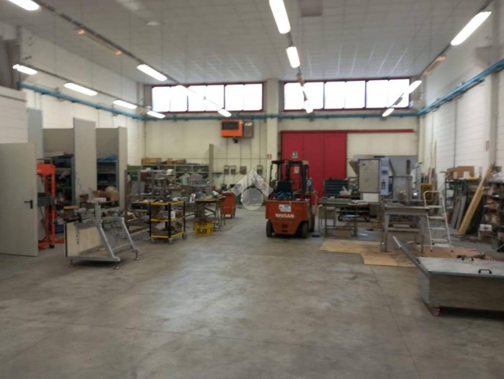 immagine annuncio 6 di 15