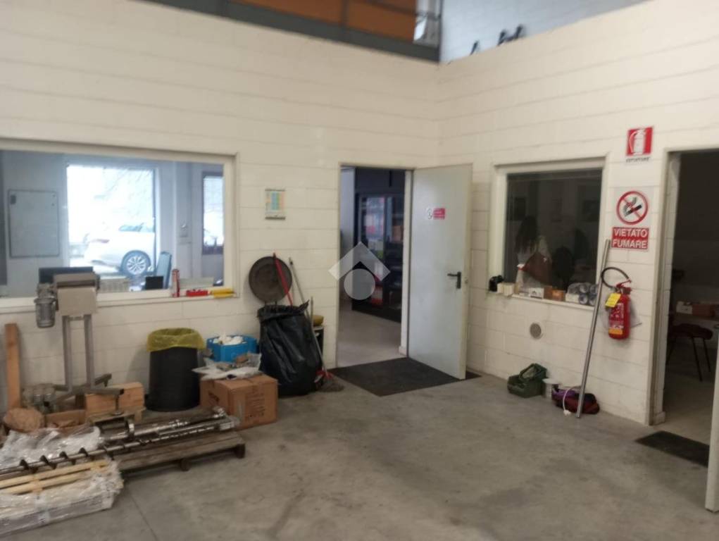 immagine annuncio 11 di 15