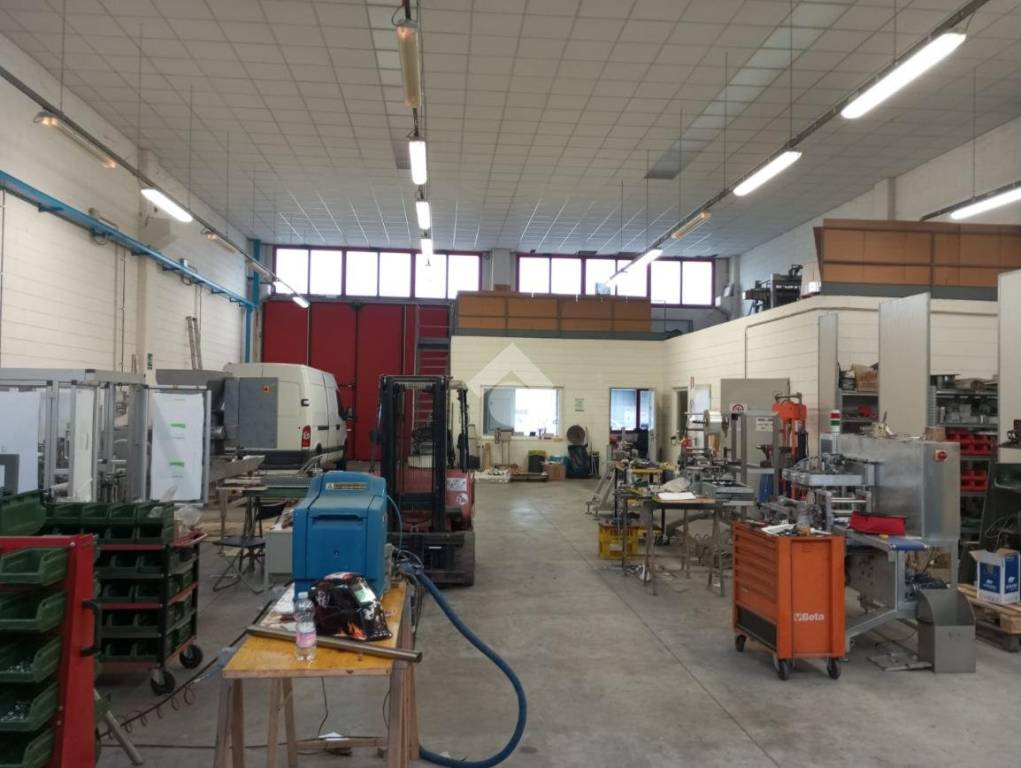 immagine annuncio 12 di 15