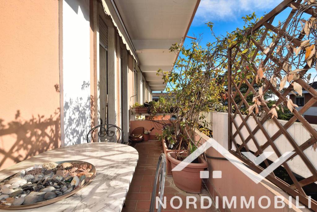 immagine annuncio 12 di 14