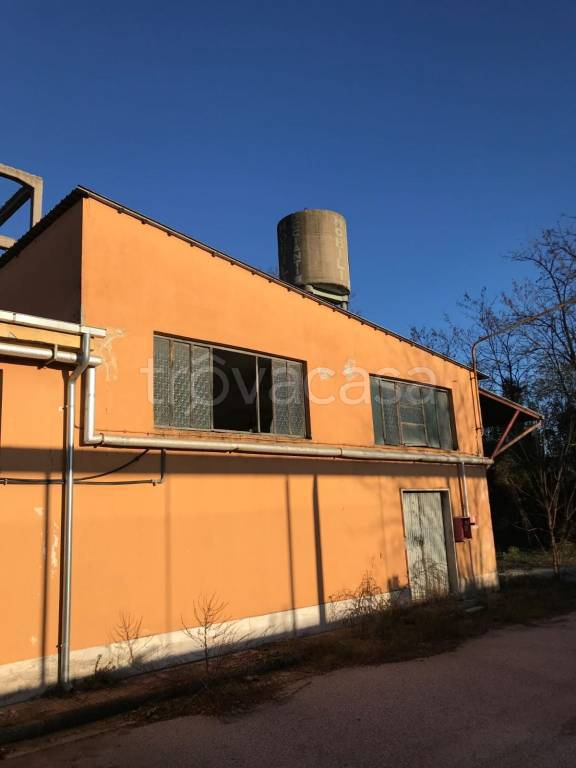 immagine annuncio 5 di 12