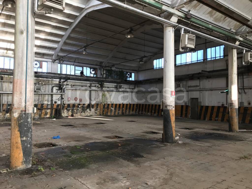 immagine annuncio 6 di 12