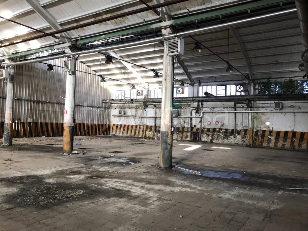 immagine annuncio 7 di 12