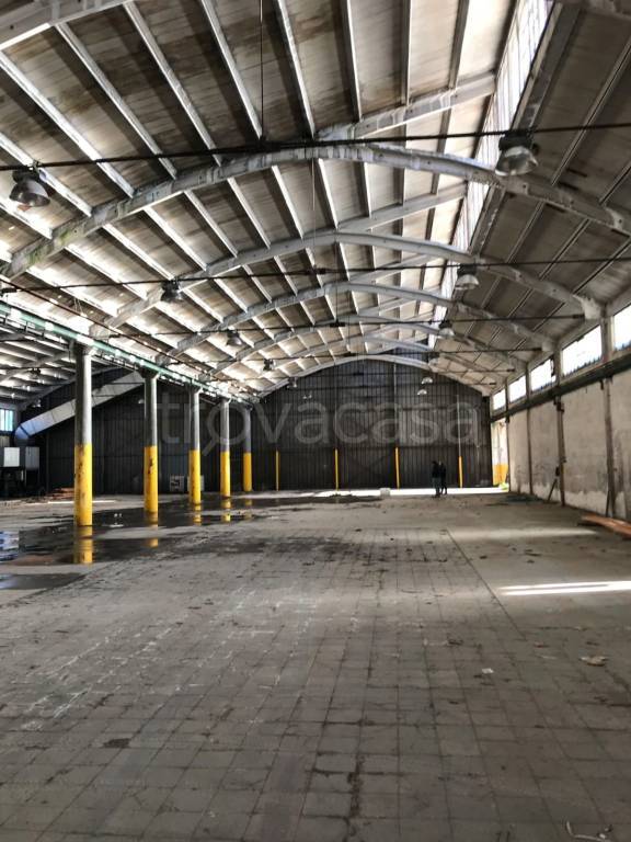 immagine annuncio 9 di 12