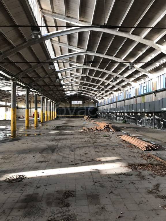 immagine annuncio 10 di 12