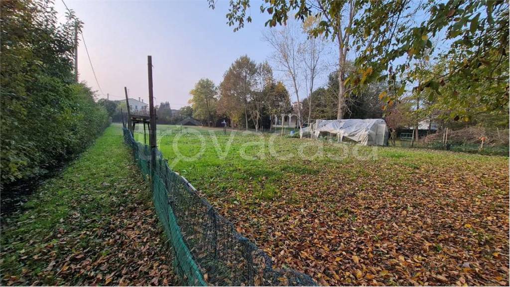 immagine annuncio 6 di 11