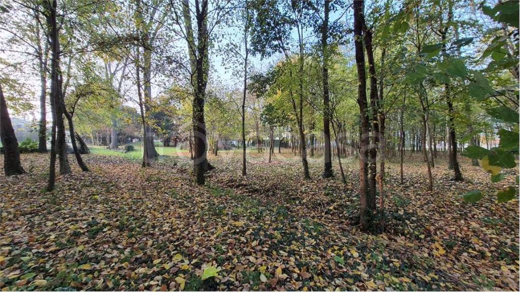 immagine annuncio 7 di 11