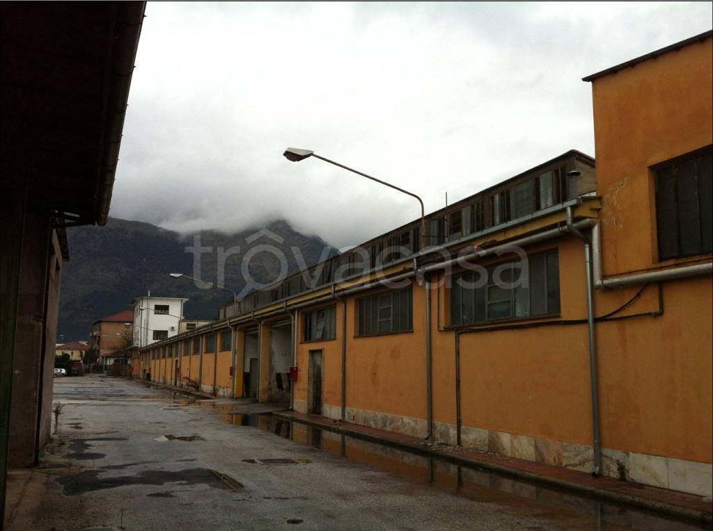 immagine annuncio 3 di 12