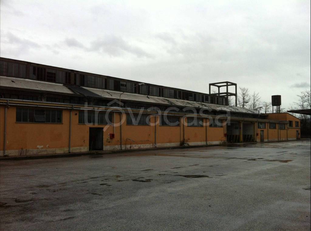 immagine annuncio 4 di 12