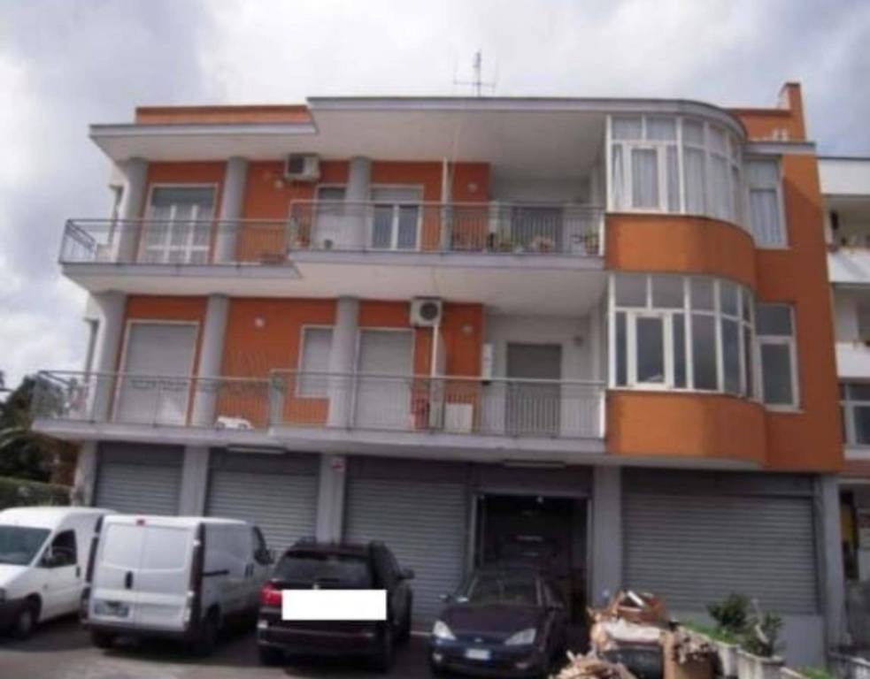 immagine annuncio 9 di 11