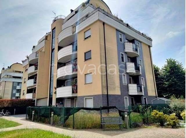 immagine annuncio 7 di 15