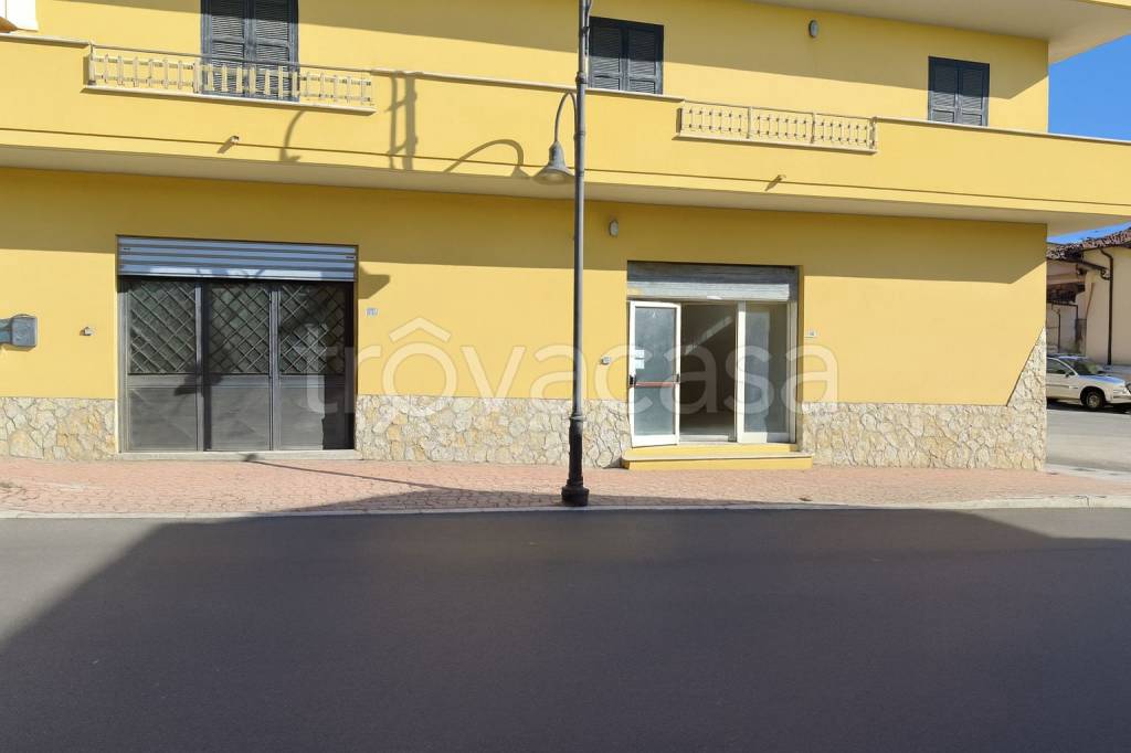 immagine annuncio 8 di 12