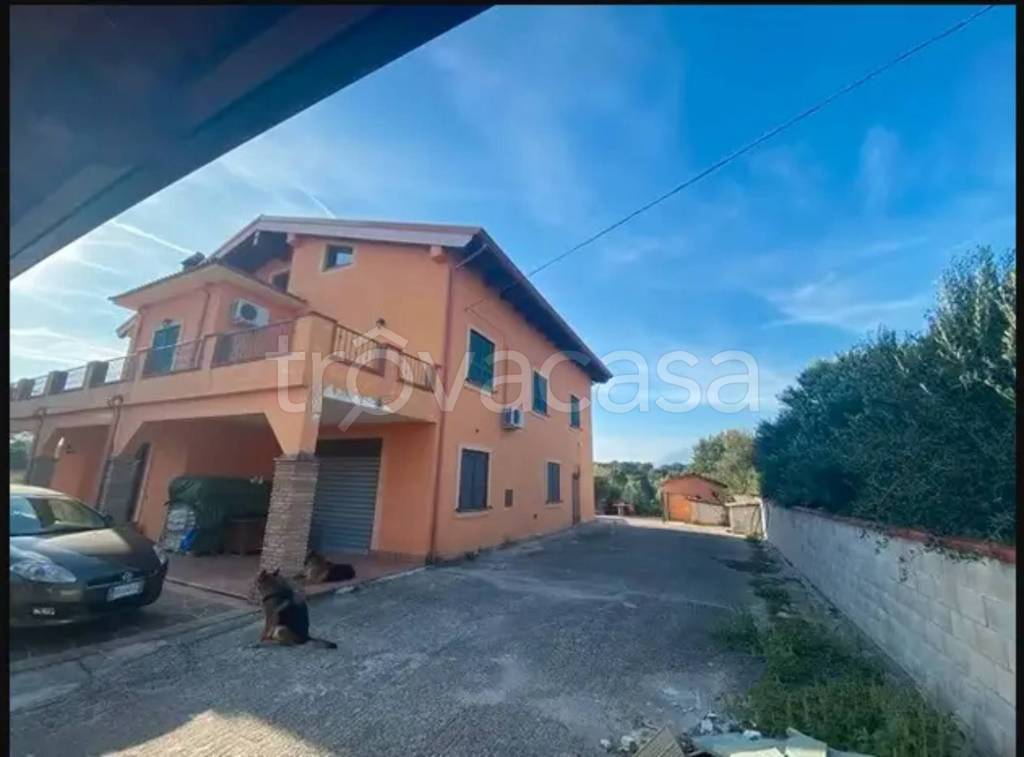 immagine annuncio 2 di 6