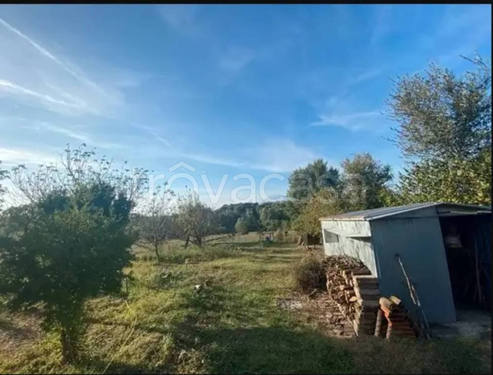 immagine annuncio 5 di 6